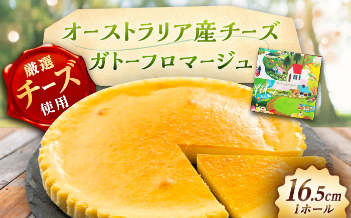 ガトーフロマージュ / チーズケーキ ちーず ケーキ スイーツ 洋菓子 ギフト / 恵那市 / 銀の森 [AUBG058]