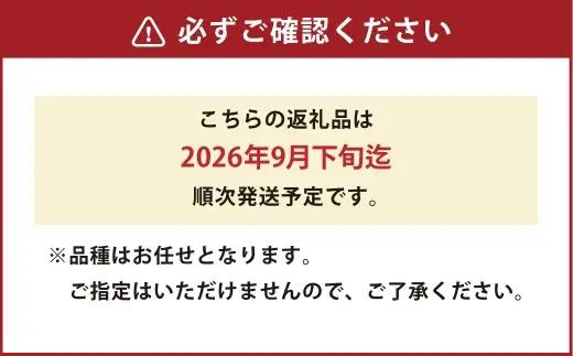 旬の梨 品種おまかせ 約4kg （ 6 ～ 24玉 ) 果物 フルーツ 豊水 秋月 新高 果実 果汁 果肉 ジューシー シャキシャキ 国産 熊本県産 冷蔵 【 2026年9月下旬迄発送 】