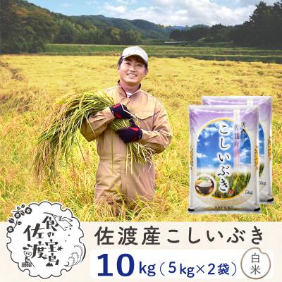 ふるさと納税 佐渡市 佐渡島産こしいぶき 白米10Kg(5Kg×2袋) 土屋農園 令和7年産 農薬5割減 【食の宝島佐渡】