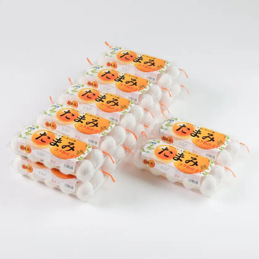 いすみポートリー「たまみ」コク旨仕立て10個入×10パック+割れ保障10個×2パック付【配送不可地域：離島】【1729055】