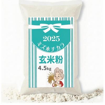 ふるさと納税 真庭市 パン・ピザ用 ミズホチカラ 玄米粉 4.5kg (900g ×5) 岡山 蒜山高原