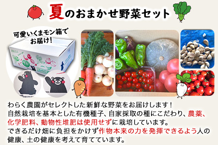 季節のおまかせ『夏』野菜セット 3～8品目程度 わらく農園《6月中旬-7月中旬頃出荷》熊本県 葦北郡 津奈木町 野菜 野菜セット