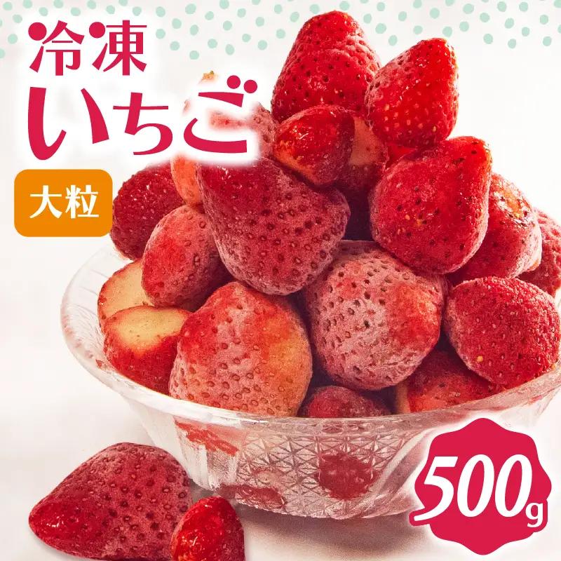 完熟 冷凍 いちご 500g 大粒 【 いちご 苺 】