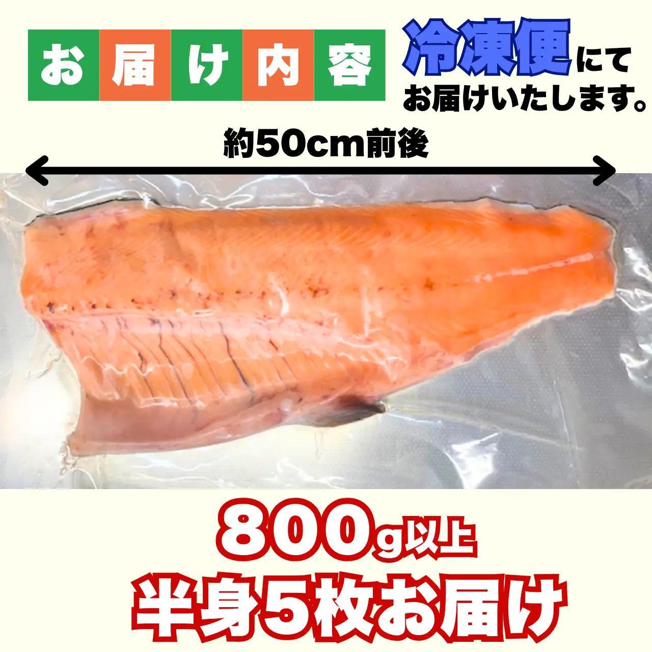 サーモン 半身 800g 冷凍 5枚 [I-050001]