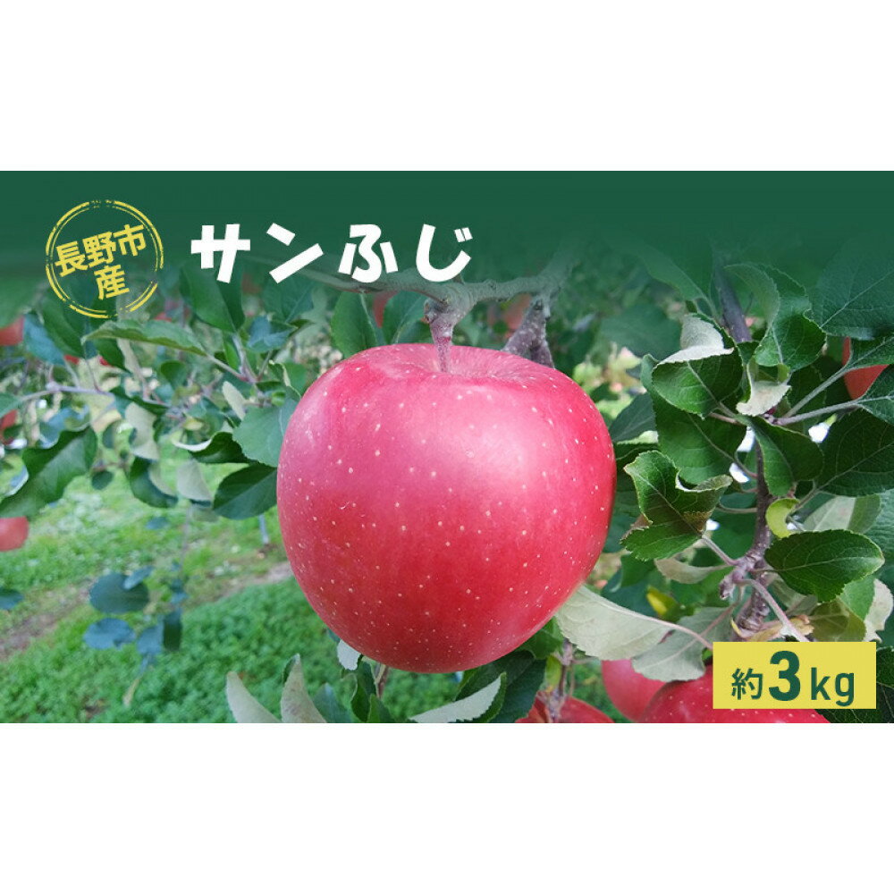 【ふるさと納税】牧野果樹園　長野市産「サンふじ」約3kg（8～10玉） | りんご フルーツ 果物 林檎 リンゴ アップル くだもの サンふじ 人気 おすすめ ギフト プレゼント 送料無料 長野県 長野市 信州 信濃 ふるさと納税