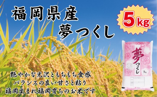 【令和7年産】【食味鑑定士厳選】 福岡県産 夢つくし5kg (5kg×1袋)【精米 お米 米 ご飯 ごはん ブランド ブランド米 夢つくし 食品 ふるさと納税 人気 おすすめ 送料無料 炊飯 炊飯器 福岡 福岡県産 筑前 筑前町 】