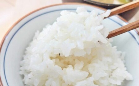 【 令和7年産 】 阿蘇五宮奉納米 5kg × 1袋 【 2026年10月下旬まで順次発送予定 】 阿蘇五宮 奉納米 自然 阿蘇の水源 化石サンゴミネラル 無農薬 お米 米 コメ こめ ご飯 飯 白米 白飯 化学肥料不使用