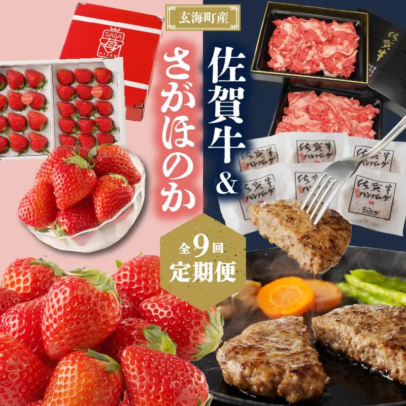 【9回定期便】玄海町産ほのか＆佐賀牛 定期便【Z025】
