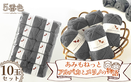 毛糸 あみもねっとアルパカとメリノの物語 【5番色10玉セット】 ／ 毛糸 超極太 アルパカ メリノウール ベビーアルパカ 編み物 手編み 極太毛糸 柔らかい なめらか 厚手 マフラー 帽子 冬小物 ハンドメイド 棒針 かぎ針 愛知県 No.396