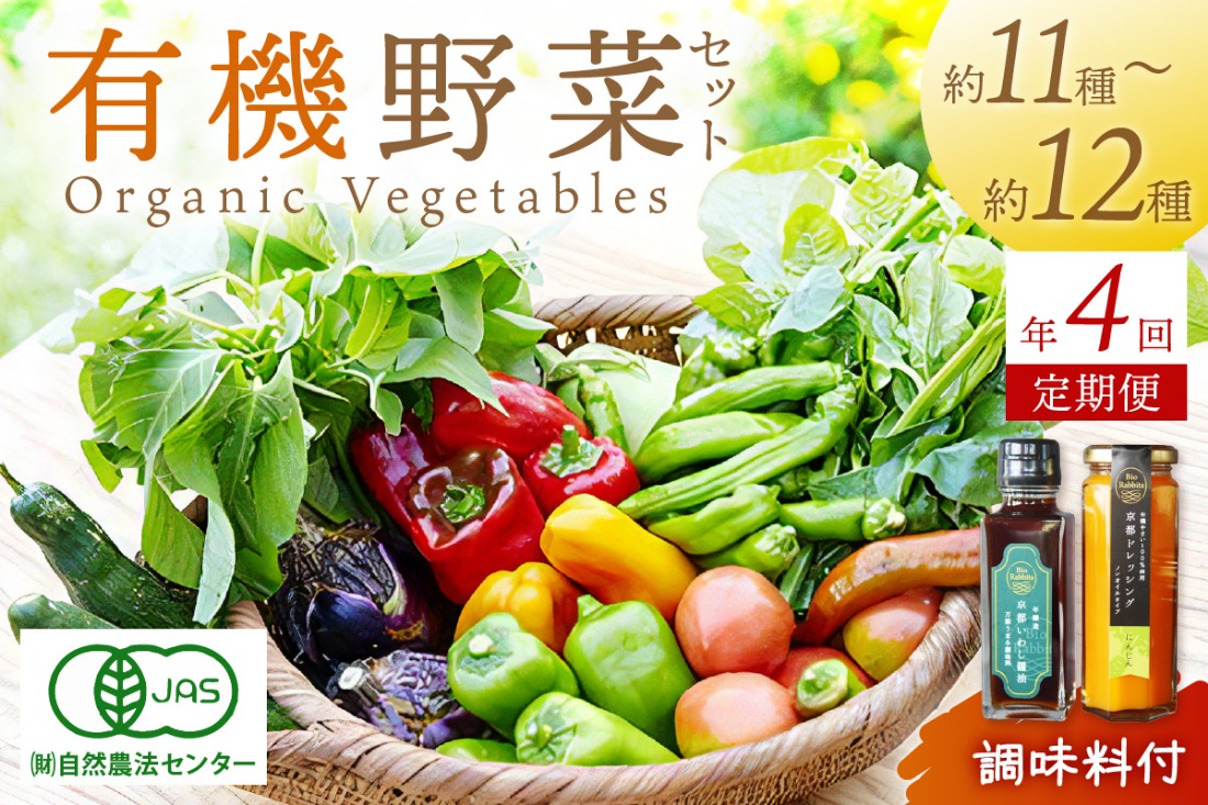 【年4回定期便】＜てんとうむしばたけ＞オーガニック野菜&調味料セット　有機野菜11～12種(4人用)＆調味料2種　BR00051