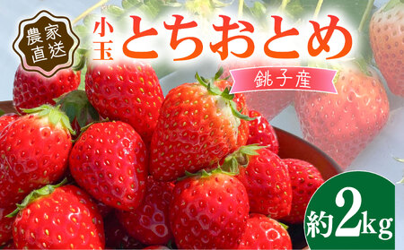 先行予約 いちご とちおとめ 約250g×8パック 計2㎏ 小玉 いちご