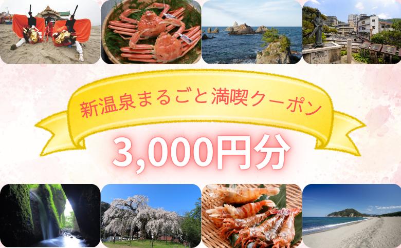 
                  新温泉まるごと満喫クーポン(3,000円分)
                