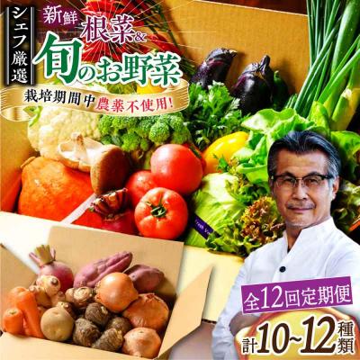 ふるさと納税 大洲市 【全12回定期便】あったら嬉しい根菜セット♪+おまかせ旬野菜 [AGBX014]