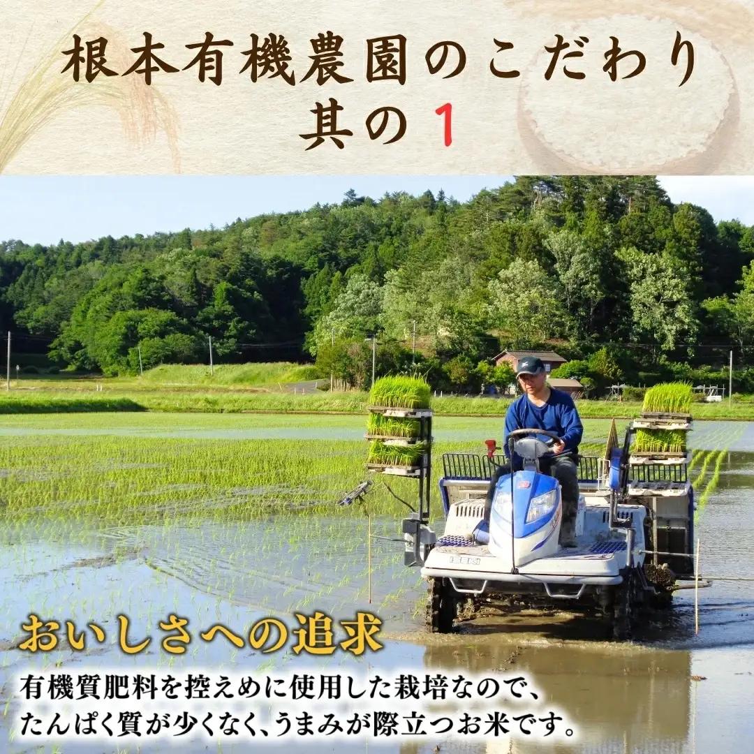 JAS有機 コシヒカリ 白米 2kg 令和7年産|根本有機農園 南相馬