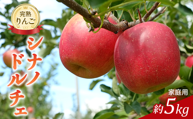 りんご 先行予約 シナノドルチェ 約5キロ 家庭用 2024年 令和6年発送 完熟りんご・外観は不揃いだけど美味しいよ 果物 果物類 リンゴ 林檎 フルーツ 長野のりんご 信州産 長野県産 信州りんご デザート 食後