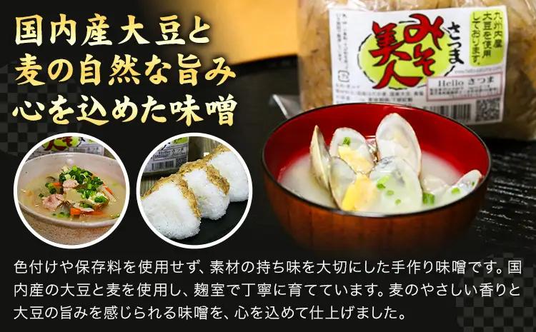 麦みそ さつまみそ美人 9kg 900g×10袋 Helloさつま《30日以内に出荷予定(土日祝除く)》