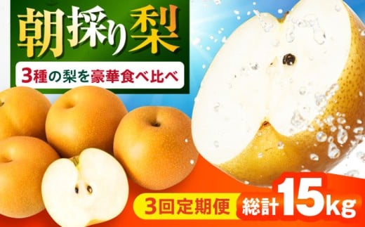 【3回定期便】 朝採り旬の梨 食べ比べ 約5kg/1回 梨定期便 フルーツ定期便 梨 ナシ なし フルーツ 果物 果物定期便 / 大村市 / 産直松吉 [ACZC010]