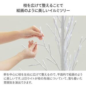 79915200 彩プレミアム TOKKAツリー L