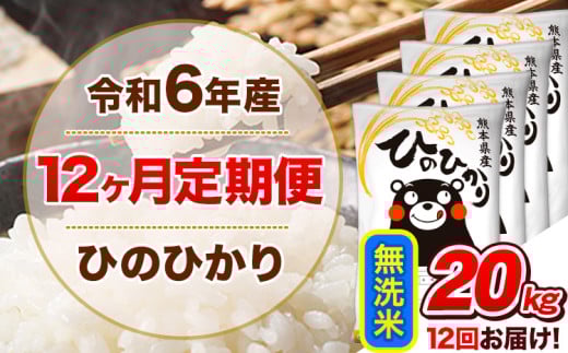 令和6年産 【12ヵ月定期便】 無洗米 ひのひかり 定期便 20kg 5kg×4袋《お申込み翌月から出荷開始》 熊本県産 精米 ひの 米 こめ ヒノヒカリ コメ お米