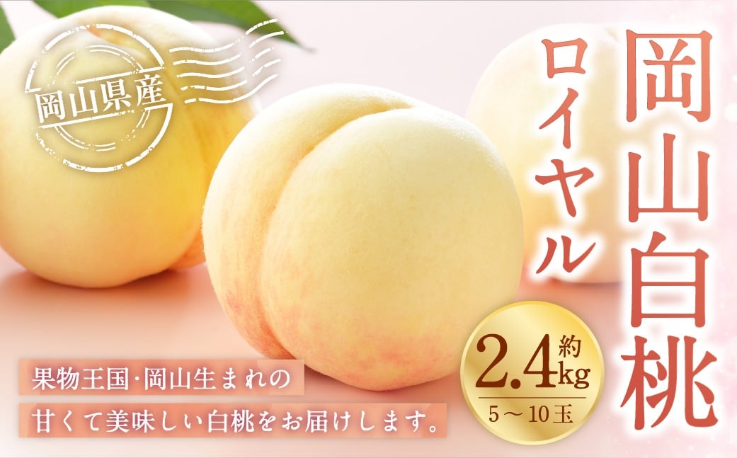 
                  岡山白桃 ロイヤル 5～10玉 約2.4kg 岡山県産 白桃 桃 もも モモ くだもの 果物 果実 フルーツ 国産 ギフト 贈り物 【 2026年7月上旬～8月下旬発送予定 】
                