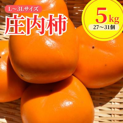 ふるさと納税 鶴岡市 【令和8年産先行予約】 庄内柿(L〜3Lサイズ) 5kg (27〜31個)　