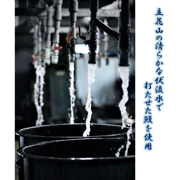 AD165.うなぎ白焼2尾（計400～500g）