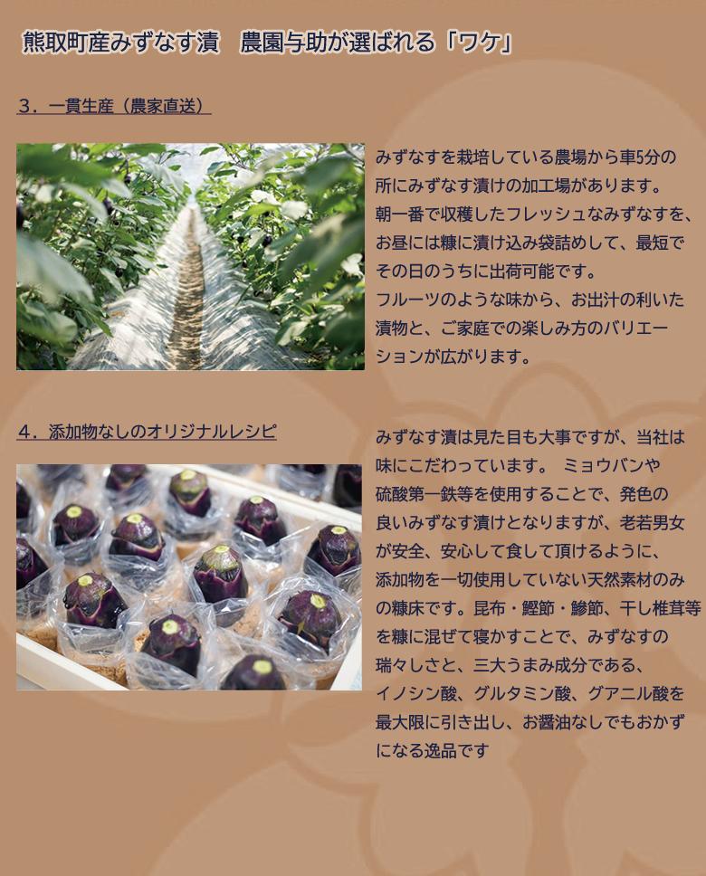 【ANA限定】水なす漬５個＋Kuma Tsumugiクラフトビ－ル２本セット（041_5008）