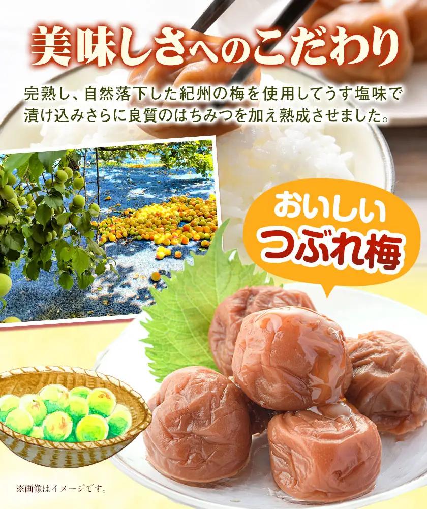 ご家庭用  紀州南高梅 はちみつ梅 つぶれ梅 大容量 900g 