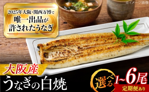 【全12回定期便】 鰻 美陵鰻の白焼 3尾 / 美陵鰻 鰻 うなぎ ウナギ 蒲焼 蒲焼き かば焼き かばやき 白焼き 白焼 肉厚 うな重 うな丼 惣菜 おかず 山椒 国産 スタミナ 土用 丑の日 ギフト / 大阪府藤井寺市/(株)れいわ水産 [BLAL033]