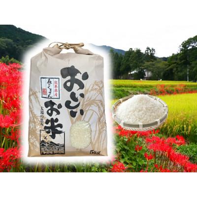 ふるさと納税 山鹿市 【先行予約】熊本県産お米5kg箱(5kg×1袋)