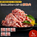 【ふるさと納税】豚肉 山口県産 豚挽肉 1kg×5パック 小分けセット | 携帯の電波も届かない環境で育った旨みたっぷりのハイポー豚 ひき肉 挽肉 豚 肉 お肉 ※配送不可:離島