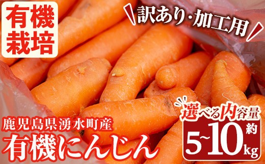 
                  ≪内容量選べる・訳あり≫湧水町産有機にんじん(約5~10kg) 国産 九州産 鹿児島産 有機野菜 有機栽培 にんじん 人参 ニンジン キャロットジュース 野菜 やさい おかず 旬 わけあり 訳アリ 不揃い 規格外 期間限定 数量限定 オーガニック 健康【そのやま農園】
                