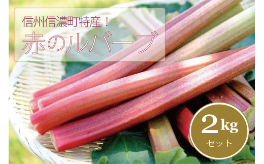 【長野信濃町ふるさと納税】信州信濃町特産「ルバーブ（赤）２キロ」初夏限定☆6月上旬まで受付！