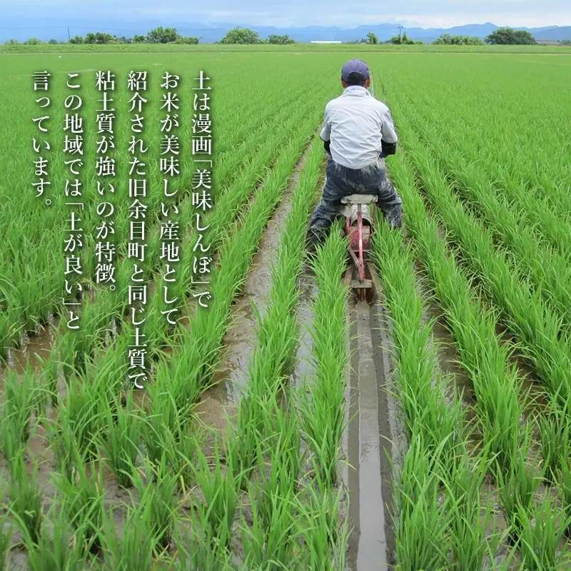 【令和7年産】特別栽培米 つや姫（タニシ米）精米10kg（5kg×2袋）　山形県鶴岡産　アベ・アグリ米　| つやひめ 米 コメ こめ 10キロ 米どころ 庄内米 ブランド米 ご飯 ごはん 美味しい お