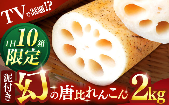 
            幻の唐比れんこん　２kg　/　れんこん　レンコン　蓮根　やさい　野菜　/　諫早市　/　農事組合法人スマイル・ライフ　 [AHCA002]
          