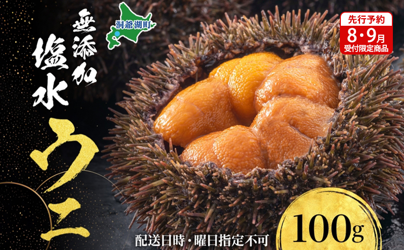 【先行予約】北海道 無添加塩水 ウニ 100g 1パック 11月上旬～12月上旬頃まで順次出荷 バフン ムラサキ うに 雲丹 海鮮 小川商店