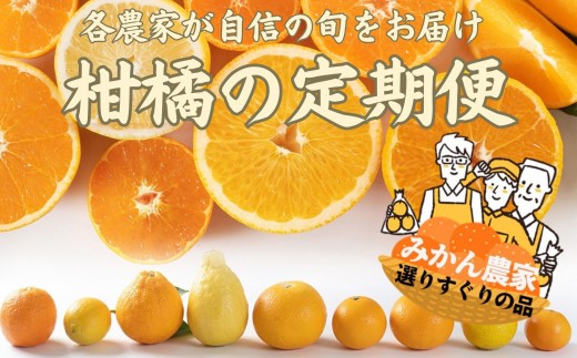 みかん定期便 全10回 温州みかん 蜜柑 ミカン 柑橘 かんきつ 定期便 和歌山県 海南市 農園直送  早生 ゆら 完熟 蔵出し 津之輝 清見オレンジ 不知火 みかんジュース 果物 フルーツ 国産 産地直送