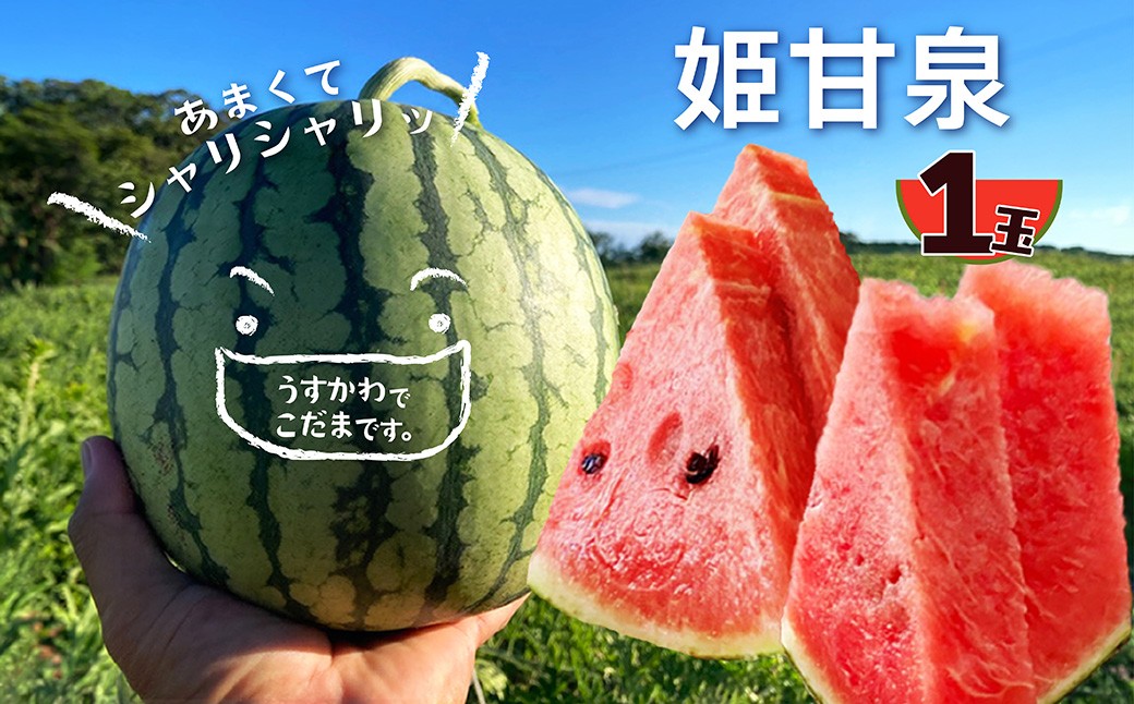 【先行予約】京丹後・俵野産 小玉スイカ 姫甘泉 1玉（2027年7月中旬～発送） 西瓜 すいか 姫甘泉 果物 フルーツ 小玉 野菜 ふるさと納税 先行予約 果物 ふるさと 納税 先行予約 ふるさと納税 フルーツ　 IU00002