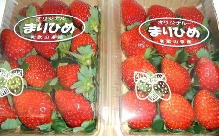 【1月発送】和歌山県産ブランドいちご「まりひめ」約300g×4パック入り【北海道・沖縄県・離島配送不可】【上富田町産】