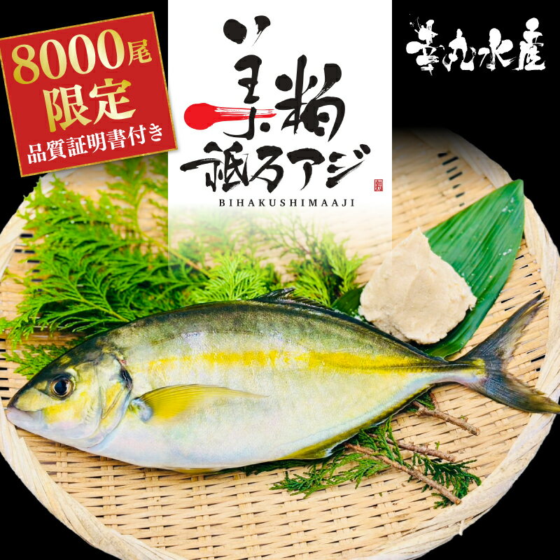 【ふるさと納税】 高級 シマアジ 美粕祇万アジ 250 ～ 500g フィーレ カマ アラ付 高級魚 刺身 刺身用 縞鯵 鯵 海鮮 鮮魚 新鮮 魚介 冷凍 魚 さかな 小分け 高知県 須崎市 SCM001-all
