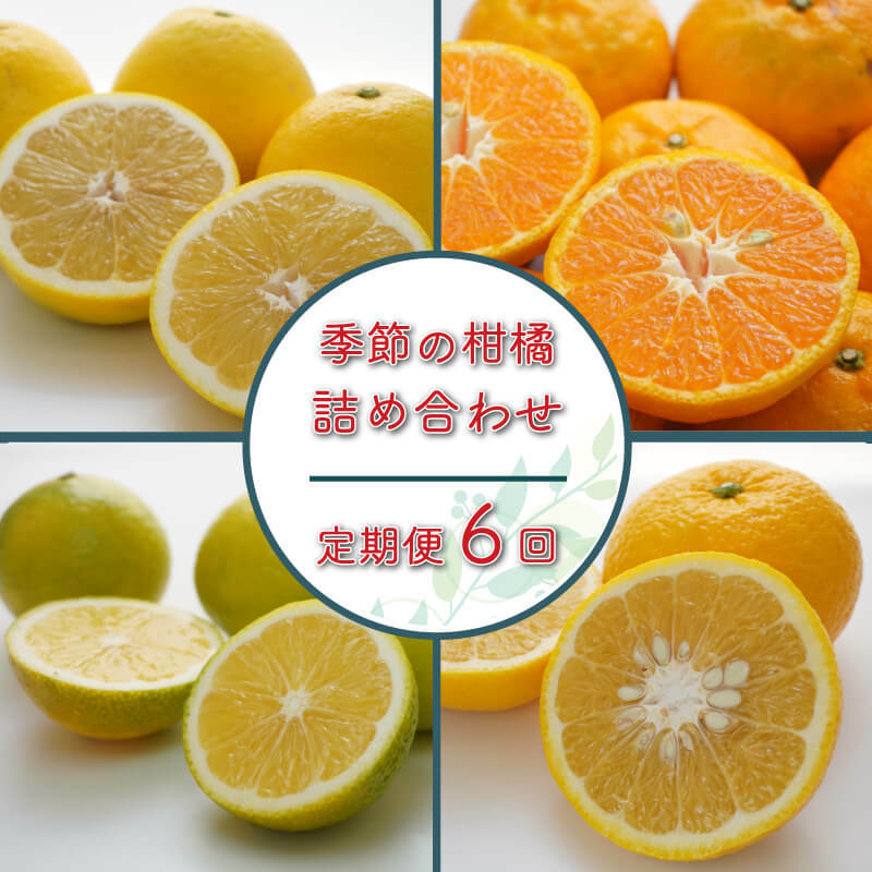 【ふるさと納税】 季節 の 柑橘詰合せ お楽しみ 定期便 6回 45000円 みかん mikan 蜜柑 ミカン 産地直送 国産 農家直送 期間限定 数量限定 特産品 ゼリー アイス 冷凍 みかん 等に 人気 甘い フルーツ 果物 柑橘 おいしい ジューシー ビタミン 第一マルエム 愛南町 愛媛県