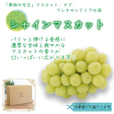 【2026年先行受付】岡山　花笑み農園の『シャインマスカット』家庭用　約2kg(3～5房)　S-2家【配送不可地域：離島・北海道・沖縄県】