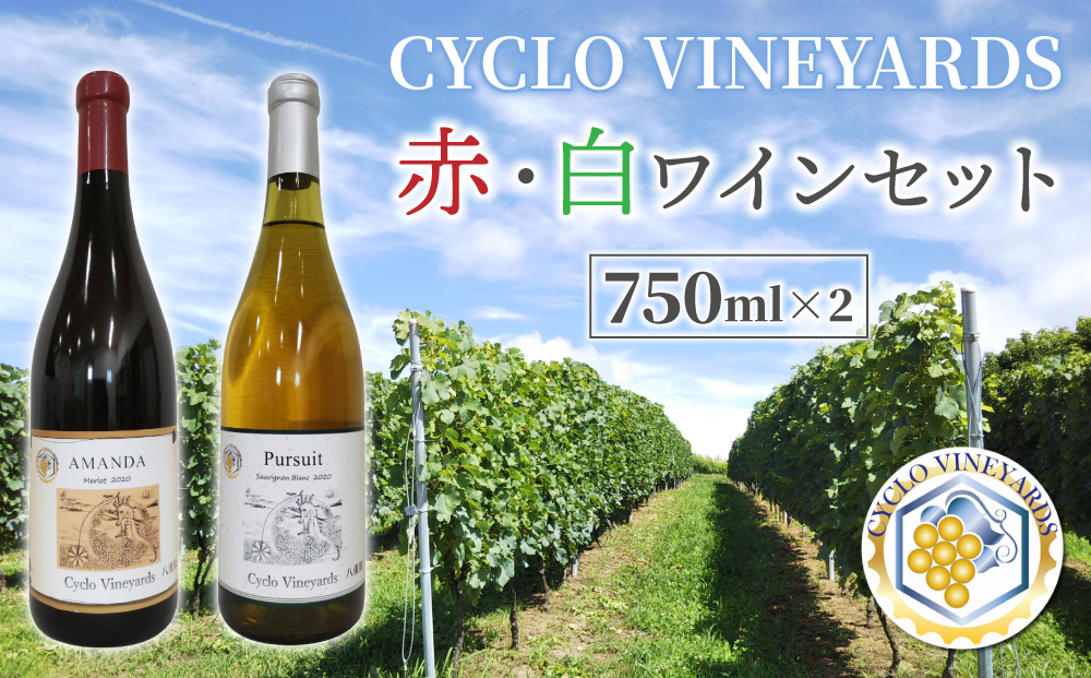 496ワイナリー プレミアム 赤白ワインセット（赤・白 各1本）ワイン 飲み比べ お酒 ギフト プレゼント お中元 お歳暮 果実酒 瓶 国産 信州 長野県東御市