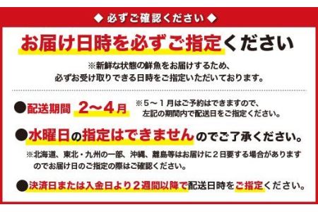 豪華！ 伊勢海老 アワビ セット（2月から4月到着分）活伊勢エビ 2尾 活あわび 3～5個 伊勢えび 海老 エビ えび 鮑 貝 魚介 魚介類 海鮮 海鮮セット セット 詰め合わせ 冷蔵 刺身 焼き物　