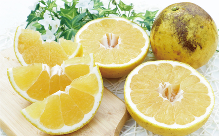 家庭用 河内晩柑 7.5kg 果樹園 みどり