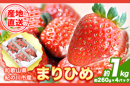 苺 いちご まりひめ 約1kg(約260g×4パック) 