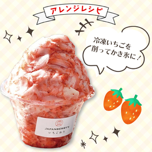 いちご 冷凍 3ヶ月 定期便 2kg  いちご