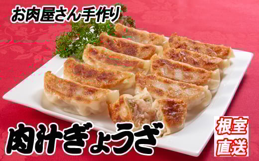 B-36041【年内配送可】 餃子25個×3P