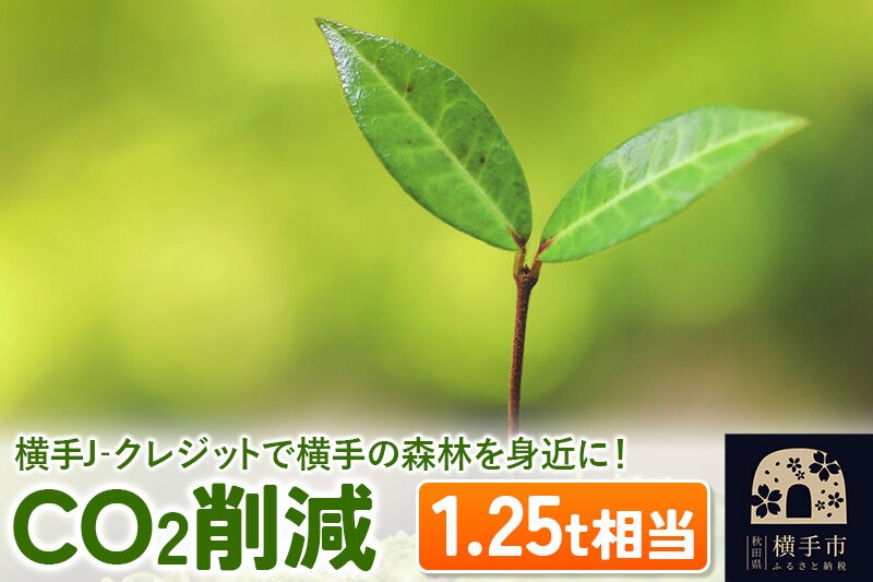 
横手J‐クレジットで横手の森林を身近に! CO2削減 1.25t相当
