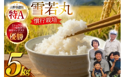 【期間限定発送】 米 令和7年産 慣行栽培 雪若丸 5kg [金子農園 山形県 高畠町 tk06ays950061] 精米 白米 お米 ブランド米 ゆきわかまる ごはん ご飯